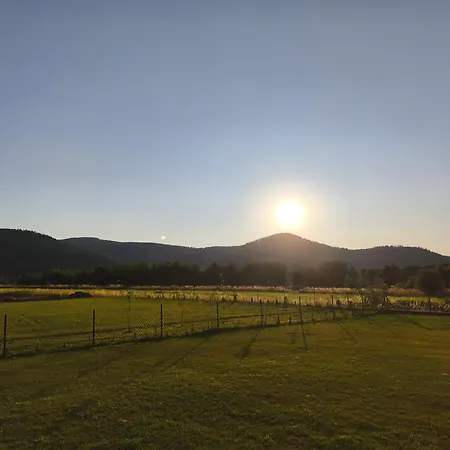 Panorama * Ściegny